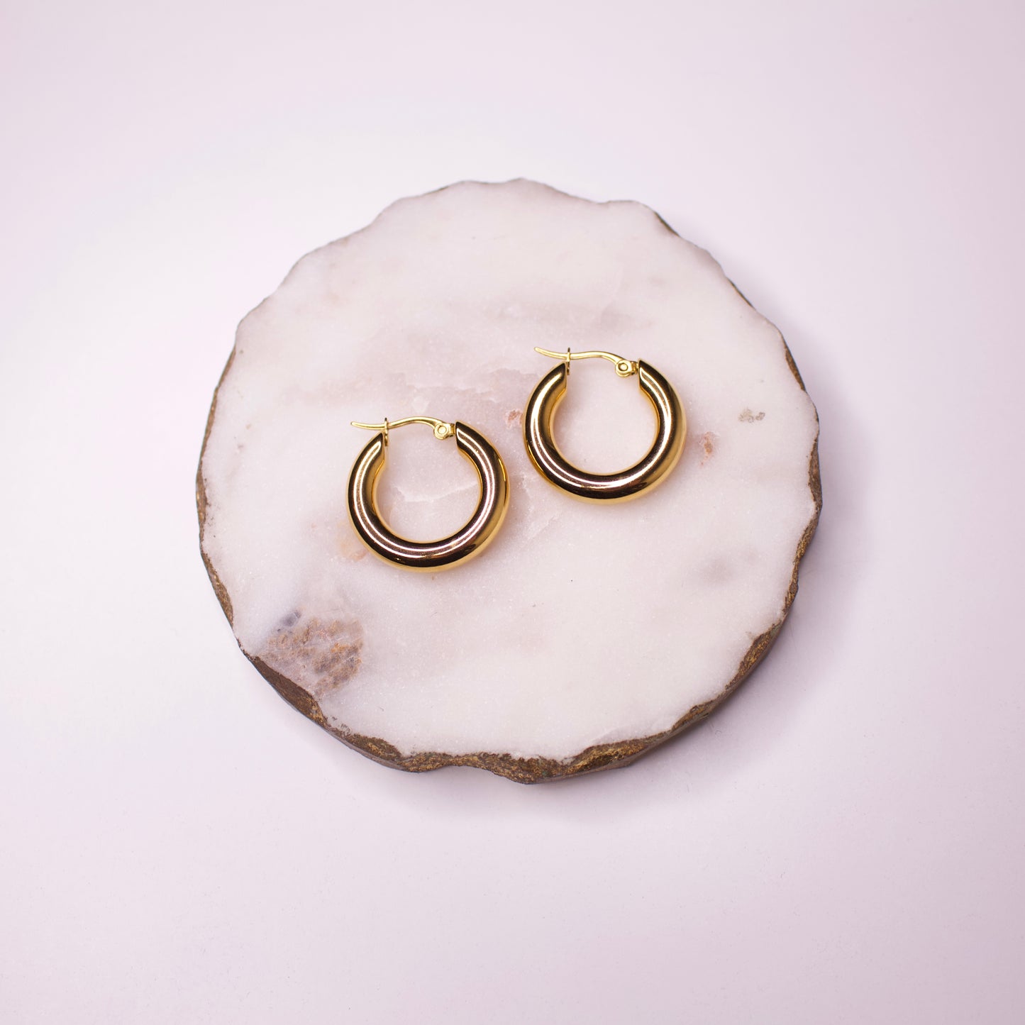 Small Hooped Earring